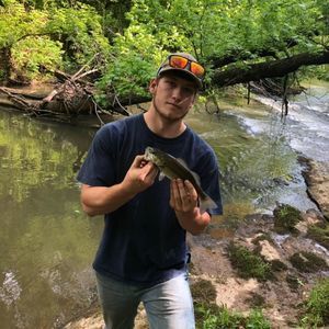 Meet your Posher, Christopher